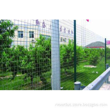 High Quality PVC Coated Welded Wire Mesh,Fencing Wire Mesh